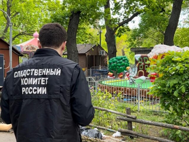 Глава СК заинтересовался делом о гибели двух человек из-за падения дерева в парке Саратова