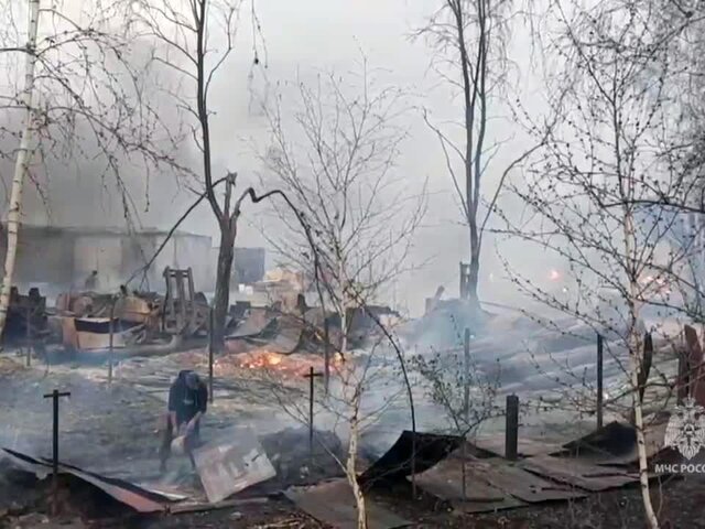 Природными пожарами в Тюменской области уничтожены 124 строения