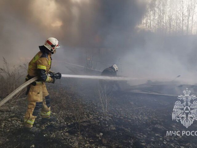 Более 110 лесных пожаров потушили в регионах РФ за прошедшие сутки