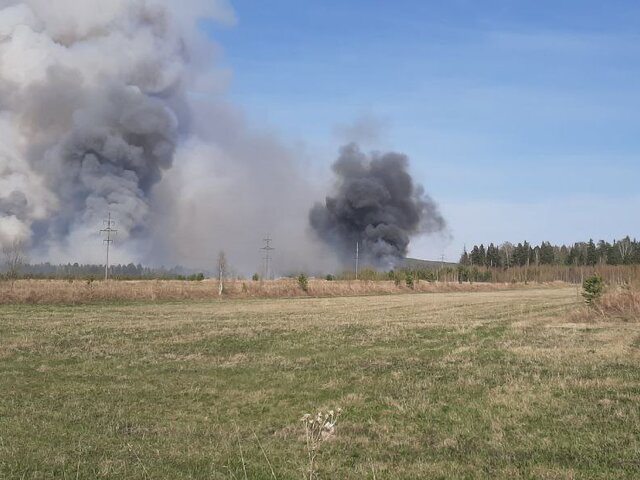 Площадь лесных пожаров в Свердловской области превысила 33 тыс гектаров