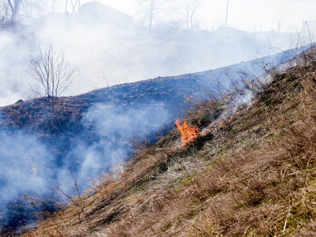 Желтый уровень опасности из-за риска пожаров продлили в Московской области