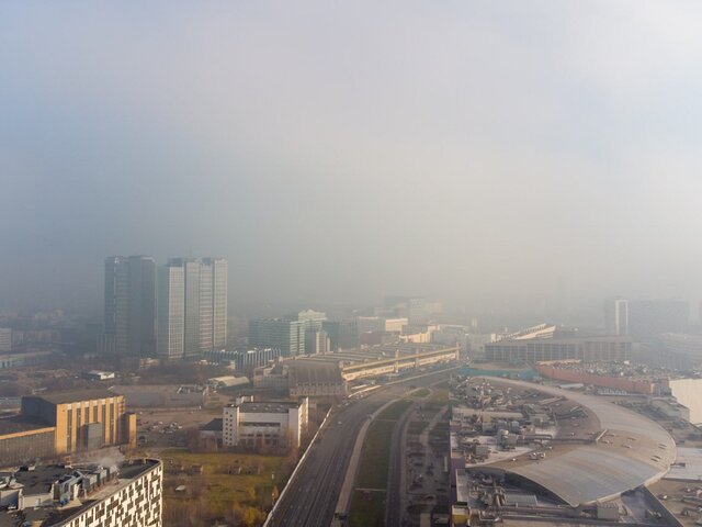 Желтый уровень погодной опасности из-за тумана объявили в Московском регионе