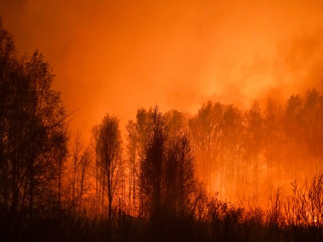 На востоке Канады из-за лесных пожаров без света остались 240 тысяч потребителей – СМИ