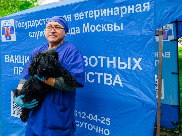 Собянин: с начала года в Москве привили более 200 тыс животных