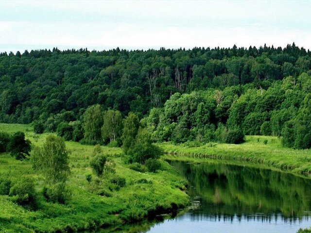 Кабмин РФ утвердил создание нового национального парка в Тульской области