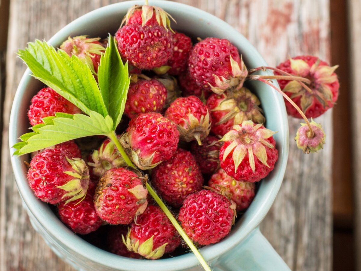 Антиоксиданты для молодости кожи