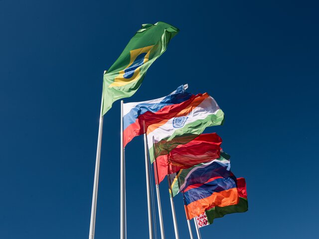 ЮАР готовится принять всех лидеров БРИКС, в том числе Путина, на саммите в августе