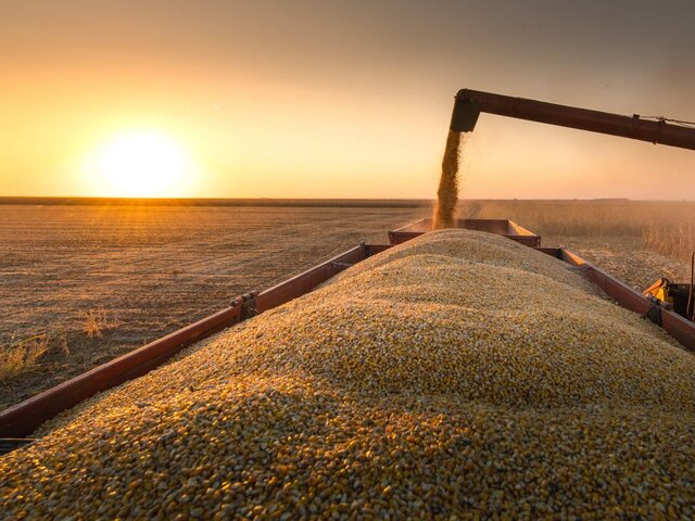 Louis Dreyfus прекратит экспорт зерна из России с 1 июля – Минсельхоз