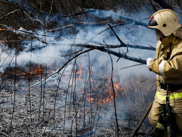 Сухая трава загорелась в Екатеринбурге на площади 10 гектаров