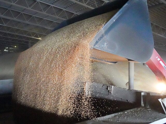 Минсельхоз РФ получил уведомление от Viterra о прекращении деятельности по экспорту зерна