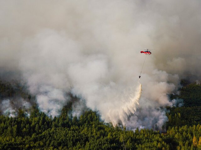 Глава Рослесхоза заявил, что семь российских регионов не готовы к пожароопасному сезону
