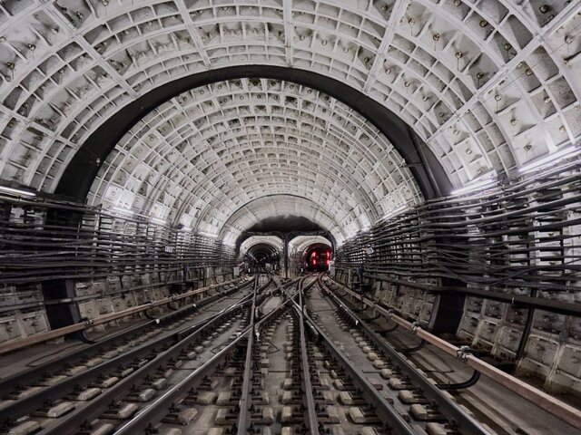 Полиция задержала мужчину, спустившегося в тоннель метро на Арбатско-Покровской линии