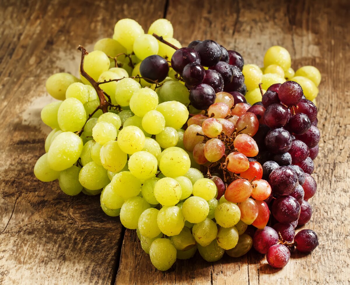 Виноград маленькие ягоды. Фиолетовый виноград. Ядовитый виноград. Винограды Крыма темные. Американский темный виноград.