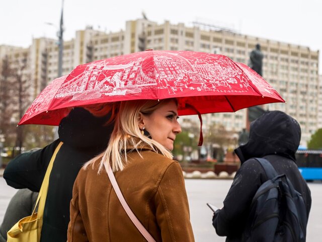 Около четверти месячной нормы осадков выпало за сутки в Москве