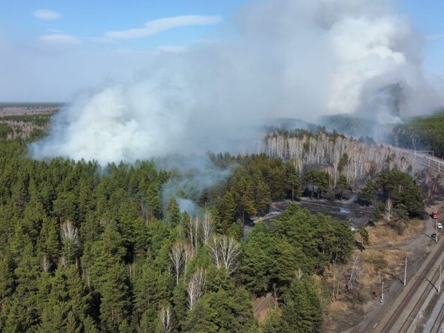 Лесной пожар в Курганской области распространился на территорию завода 