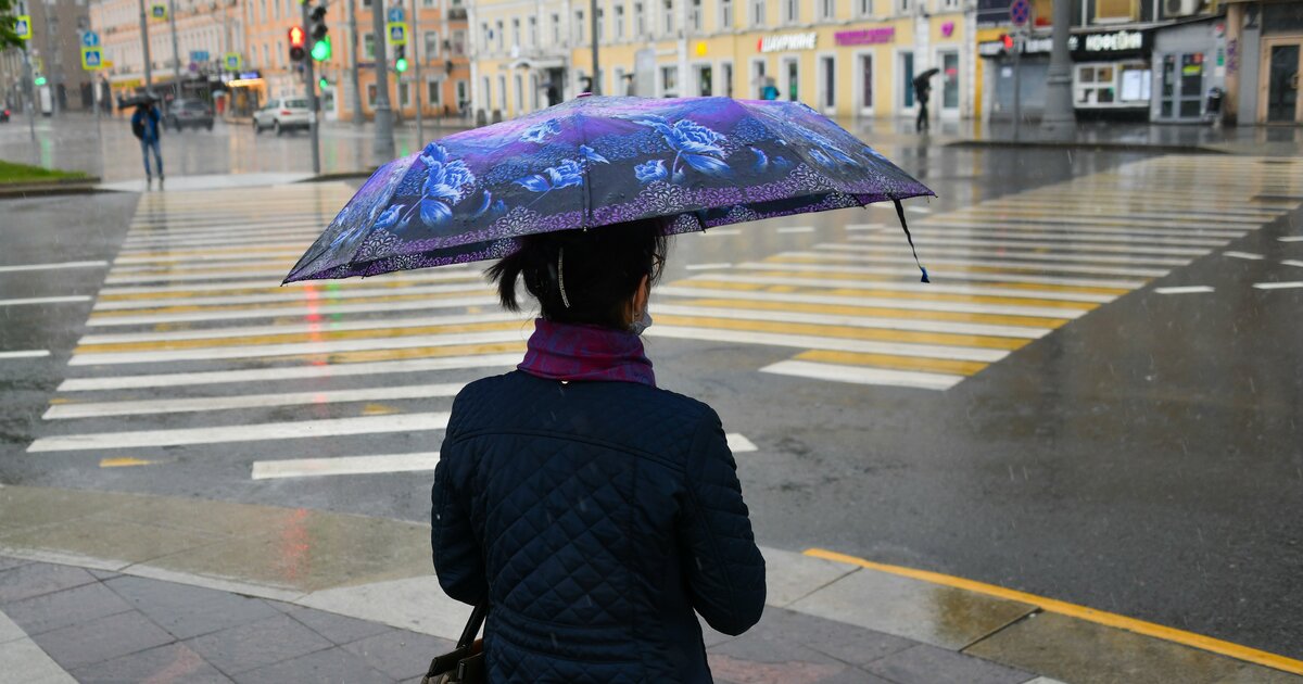 Говори завтра дождь. Дождливый день. Небольшой дождь. Красивый дождливый день. Дождь в Москве.