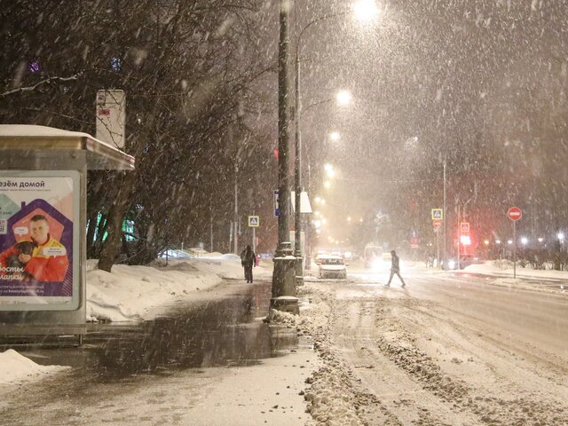 Несколько сантиметров снега может выпасть в Москве к утру 21 февраля