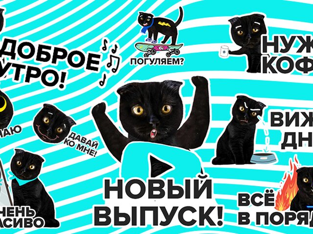 Телеканал Москва 24 выпустил стикерпак с котом Бубликом для пользователей Viber