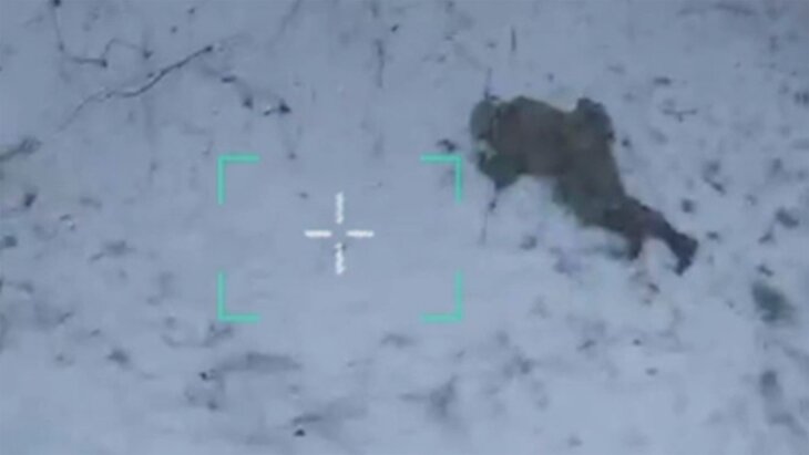 Боец сбивает дрон головой. Боец сбивает дрон головой. Боец сбивает дрон головой. Боец сбивает дрон головой. Боец сбивает дрон головой.