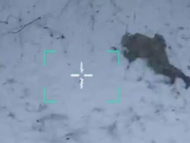 Эксперт прокомментировал момент поимки российским бойцом дрона ВСУ