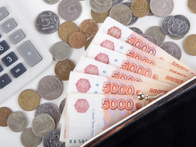 Эксперт объяснил, как добровольные взносы в бюджет РФ могут повлиять на бизнес