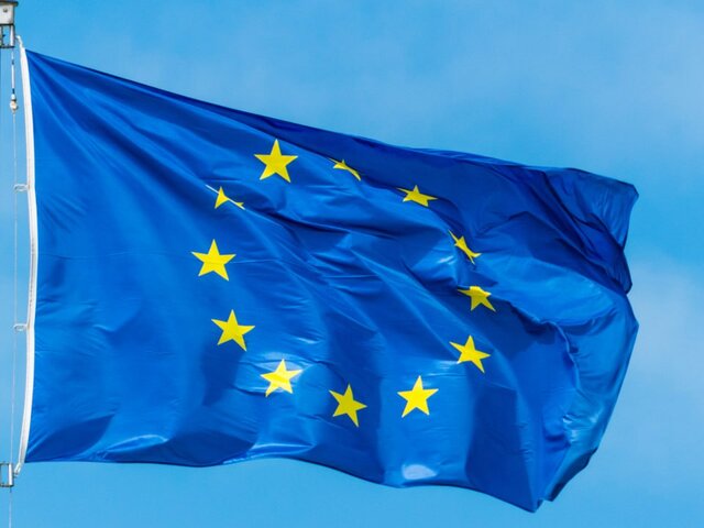 В Европарламенте раскритиковали разрешение употреблять в пищу сверчков в ЕС