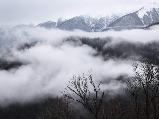 Туман сохранится в Сочи до 20 марта – власти