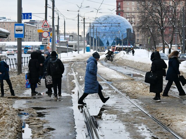 Максимальная температура воздуха 15 марта в Москве составила плюс 8,6 градуса