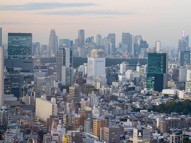 Геофизик предрек землетрясение в Японии, которое вызовет опасное для Токио цунами