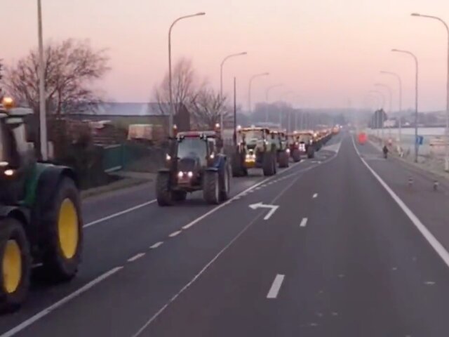 Фермеры в Бельгии вышли на протест из-за плана по закрытию хозяйств