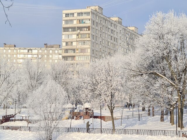Синоптики предупредили жителей России о морозах до минус 30–35 градусов