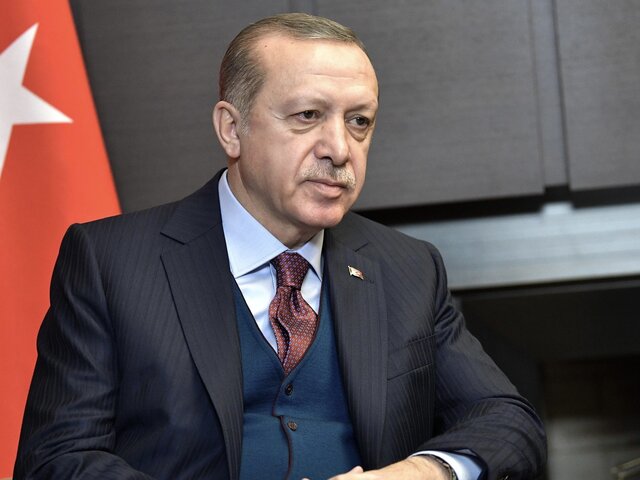 Эрдоган намерен провести переговоры с Путиным и Зеленским
