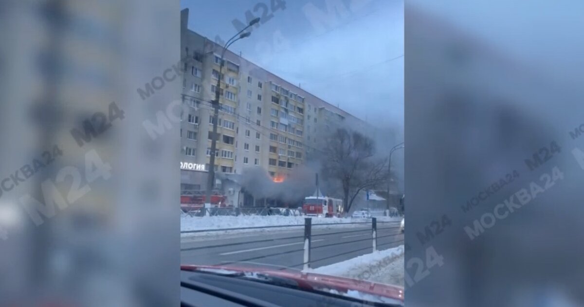 Сайт Сударь Магазин Мужской Одежды