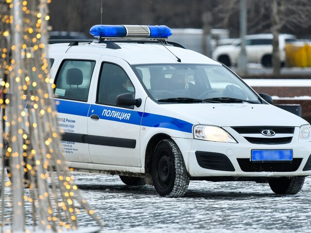Башкирского чиновника отправили под домашний арест за закупку пиксельных елок