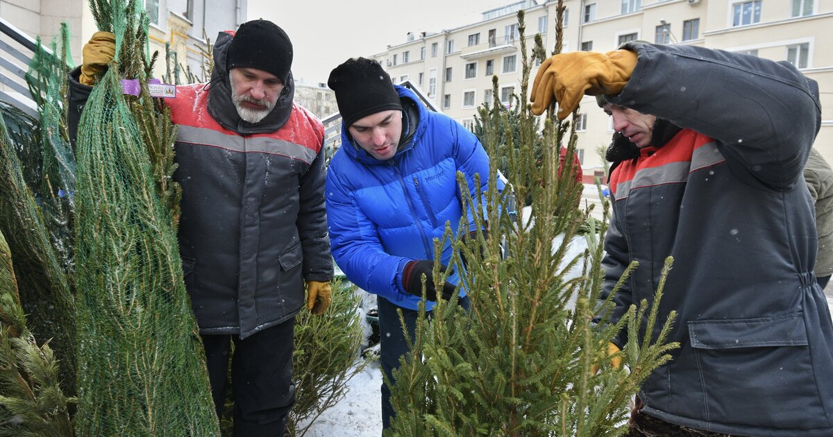 Ципралекс Цена В Москве