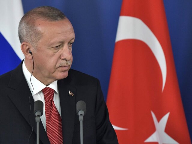 Эрдоган усомнился в квалификации Макрона как главы государства