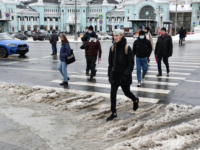 Январь 2023 года в Москве оказался на 1,5 градуса теплее нормы