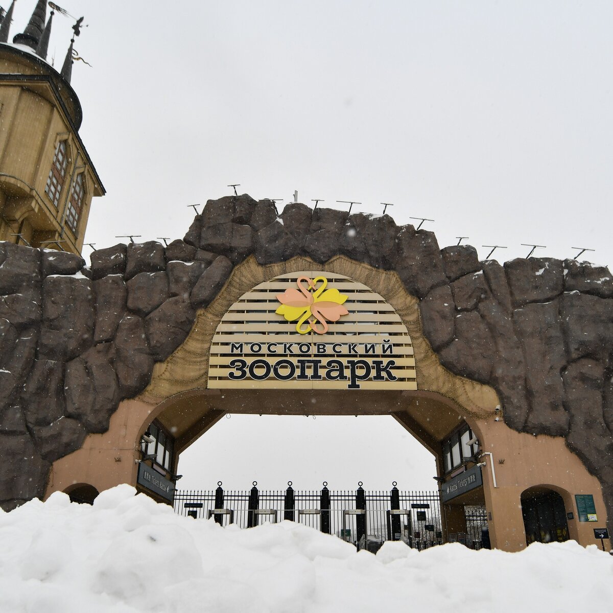 Зоопарк в москве на баррикадной. Московский зоопарк, москва. Московский зоопарк на баррикадной. Зоопарк на баррикадной график работы 2024. Московский зоопарк краснопресненская.