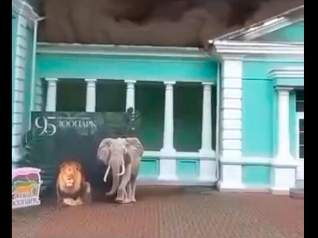 Пожар в музее на территории зоопарка Ростова-на-Дону локализован