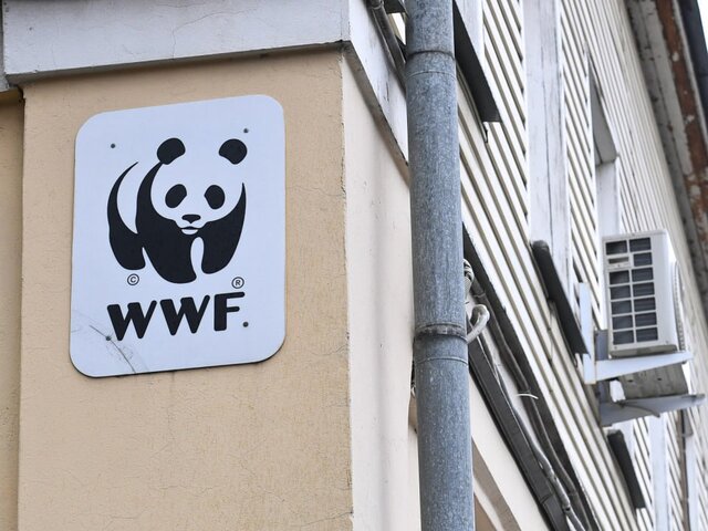 Генпрокуратура признала нежелательной на территории РФ деятельность WWF