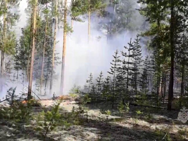 Площадь лесного пожара в Алтайском крае выросла до 7,1 тысячи гектаров
