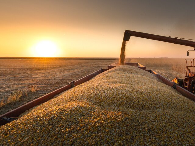 Все преграды по выполнению зерновой сделки должны быть устранены – замгенсека ООН