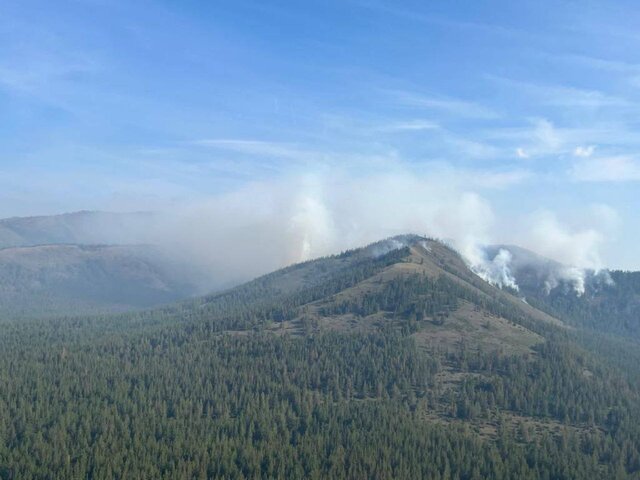 Лесной пожар угрожает селу в Башкирии