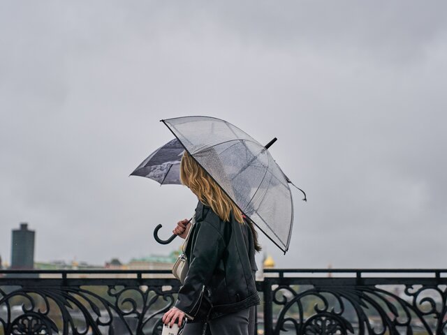 Дожди с грозами начнутся в центре Москвы в ближайшие часы