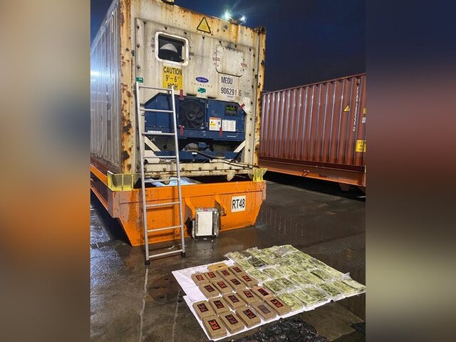 Около 50 кг кокаина нашли в контейнере с бананами в порту Петербурга