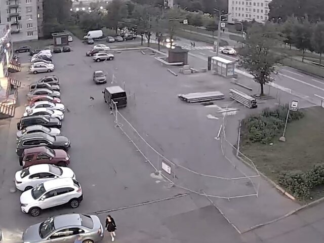 Полиция задержала водителя, сбившего двух пешеходов и скрывшегося с места ДТП в Петербурге