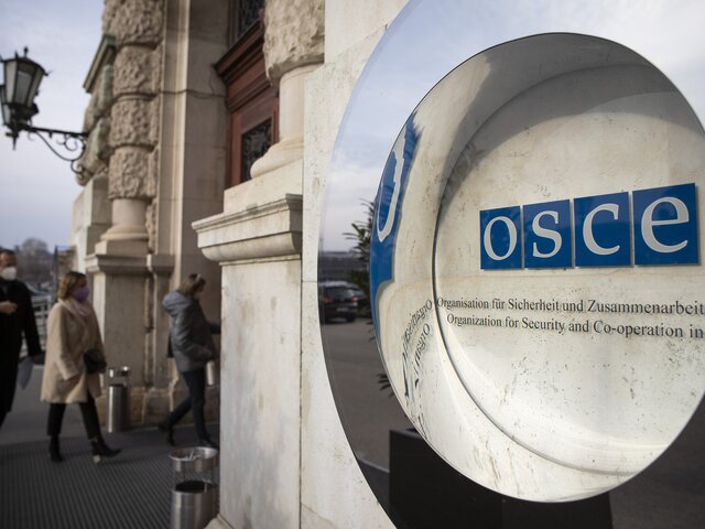 Глава МИД Австрии считает верным пригласить Лаврова на саммит ОБСЕ в Скопье