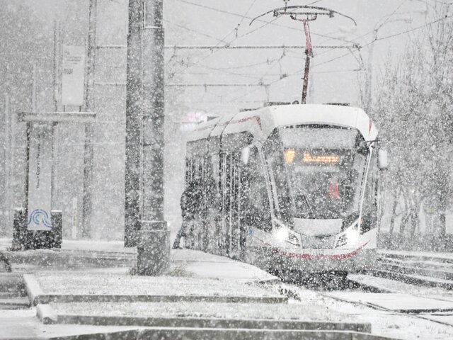Москвичей предупредили о снегопадах и метелях после 15:00 23 ноября