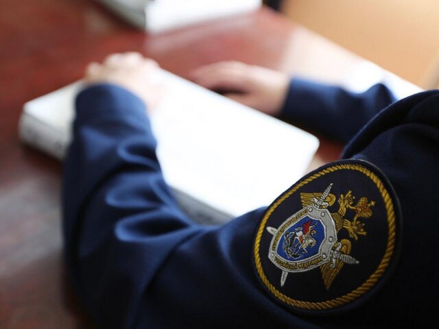 На экс-депутата красноярского заксобрания Гольдмана завели уголовное дело о мошенничестве