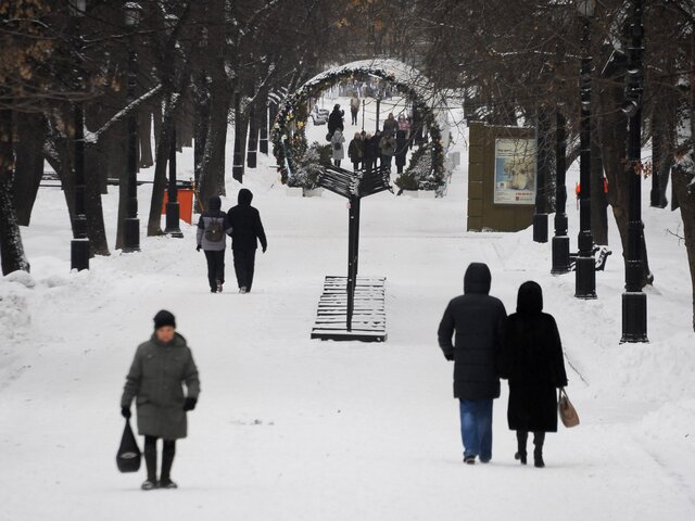 В Москве высота снежного покрова выросла до 12 см